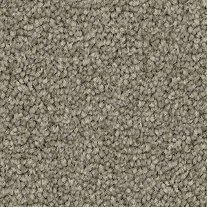 Domain Rise Carpet