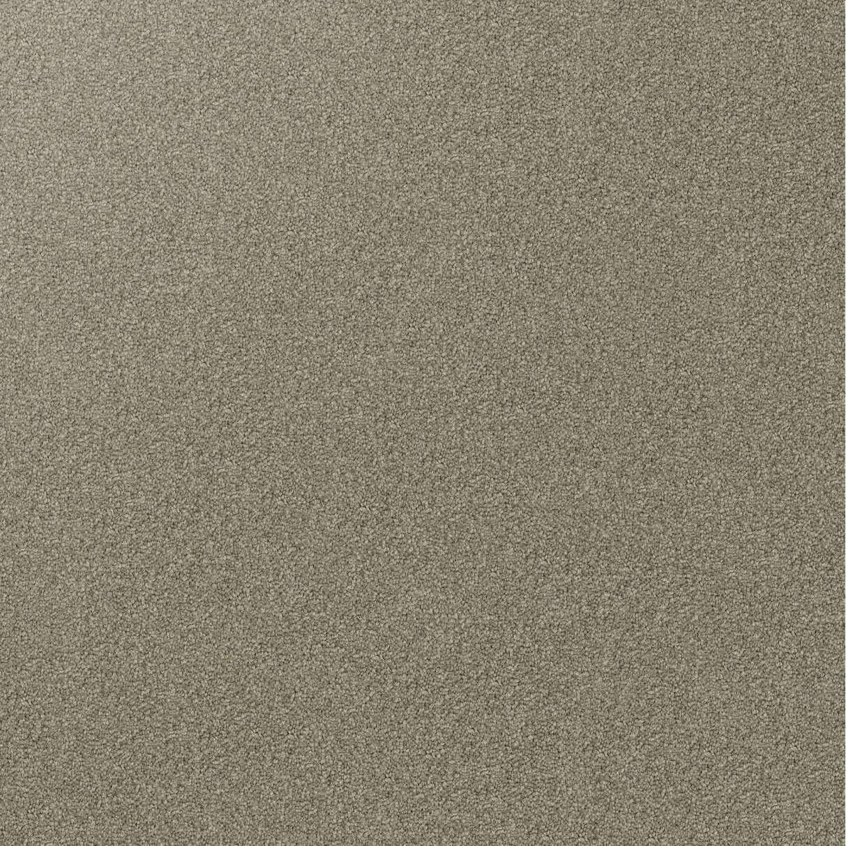 Domain Rise Carpet