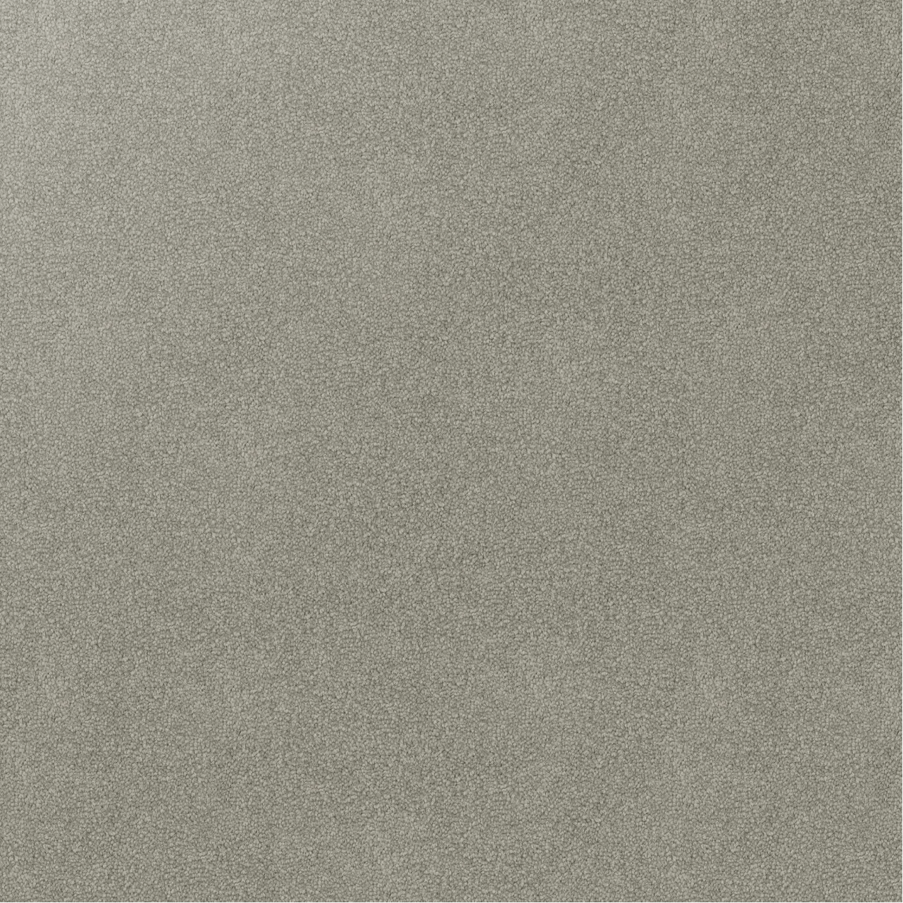 Close up of a grey cut pile twist carpet showing carpet texture and colour