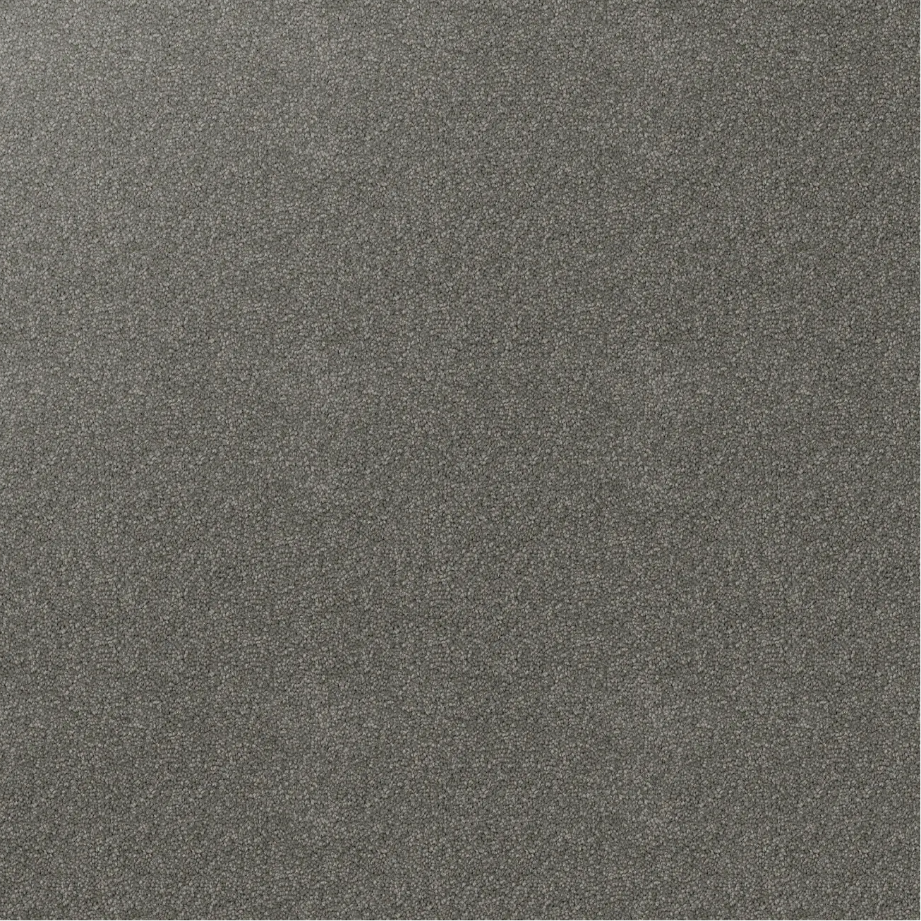 Grey textured cut pile twist carpet.