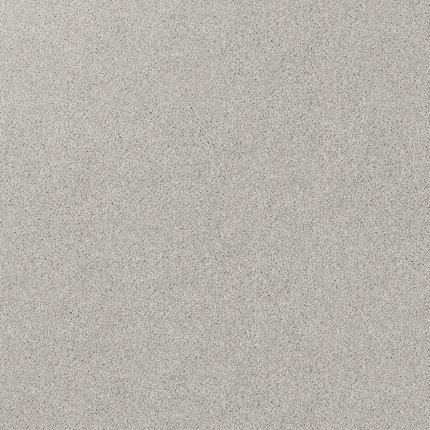 Regal Elegance Carpet