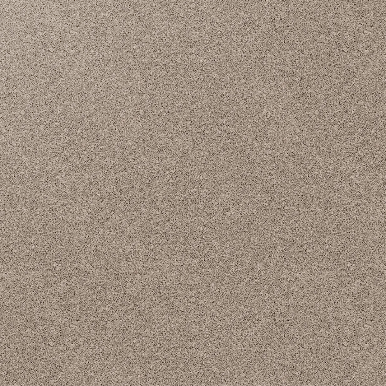 Close-up of a textured carpet dark beige, Stonewear.