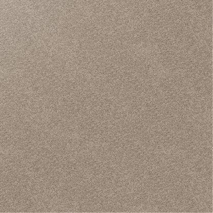 Close-up of a textured carpet dark beige, Stonewear.
