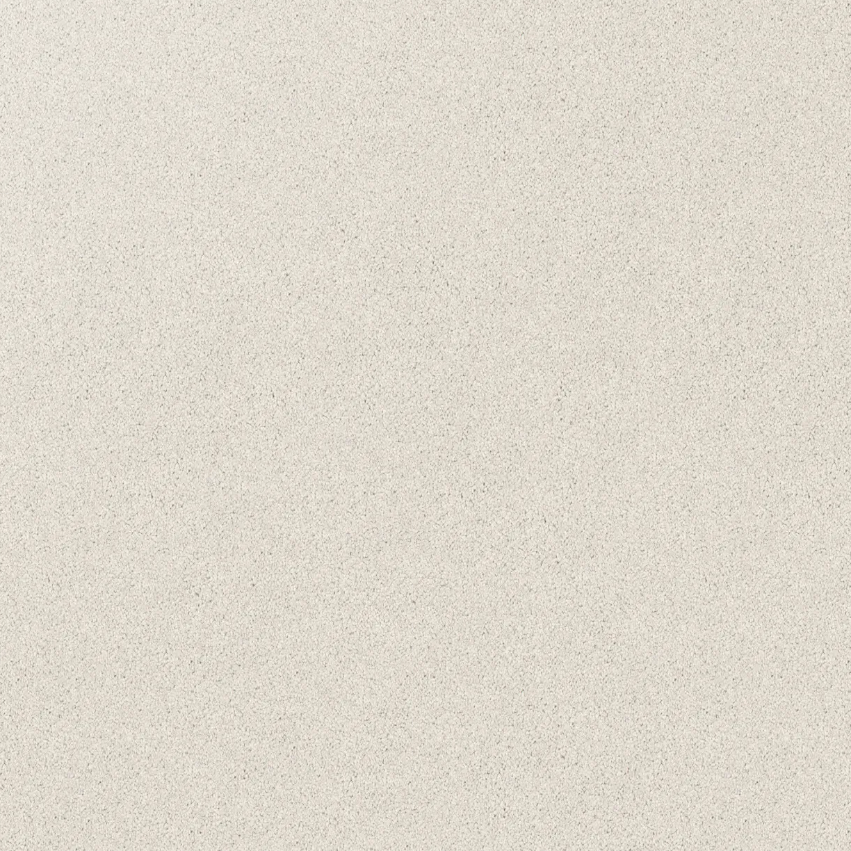 Regal Elegance Carpet