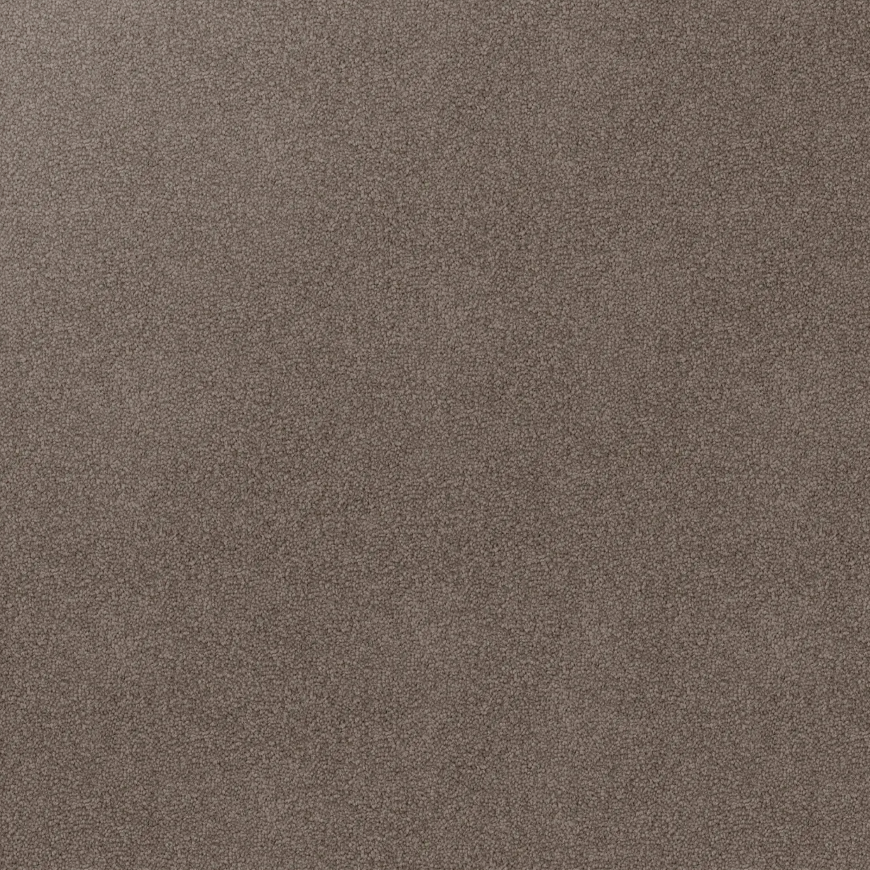 Detailed surface of Soft Sunrise carpet pile in brown