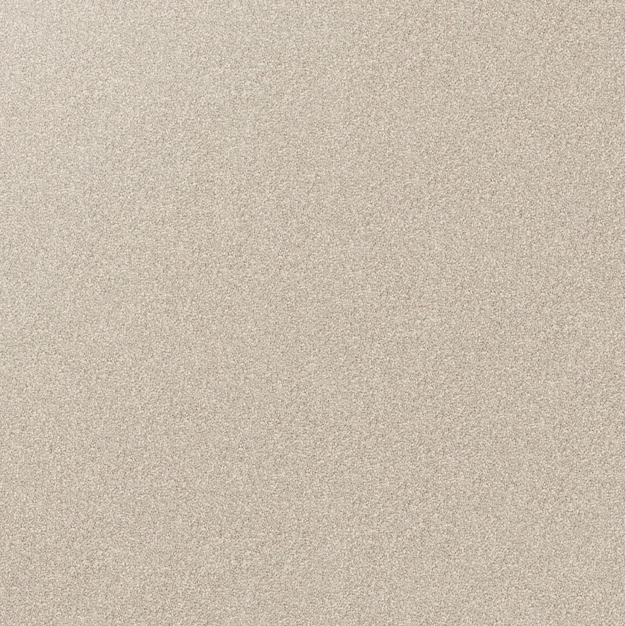 Domain Rise Carpet