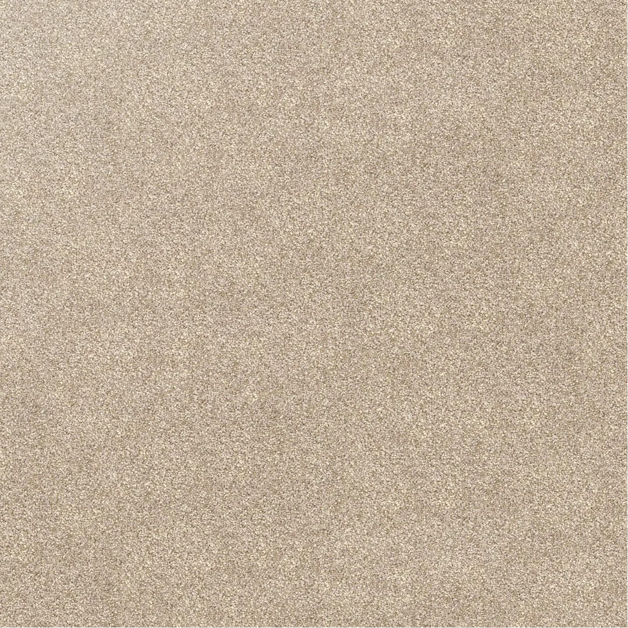Domain Rise Carpet