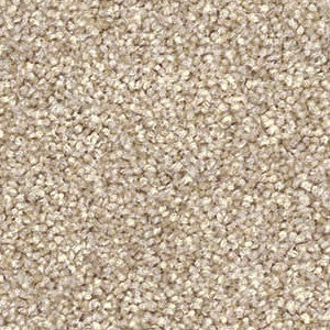 Domain Rise Carpet