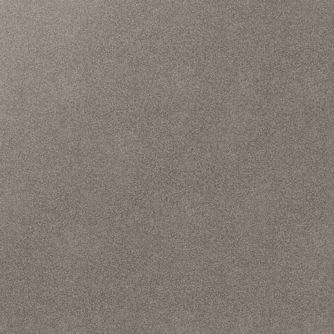 Close-up texture of Soft Sunrise triexta carpet fibres