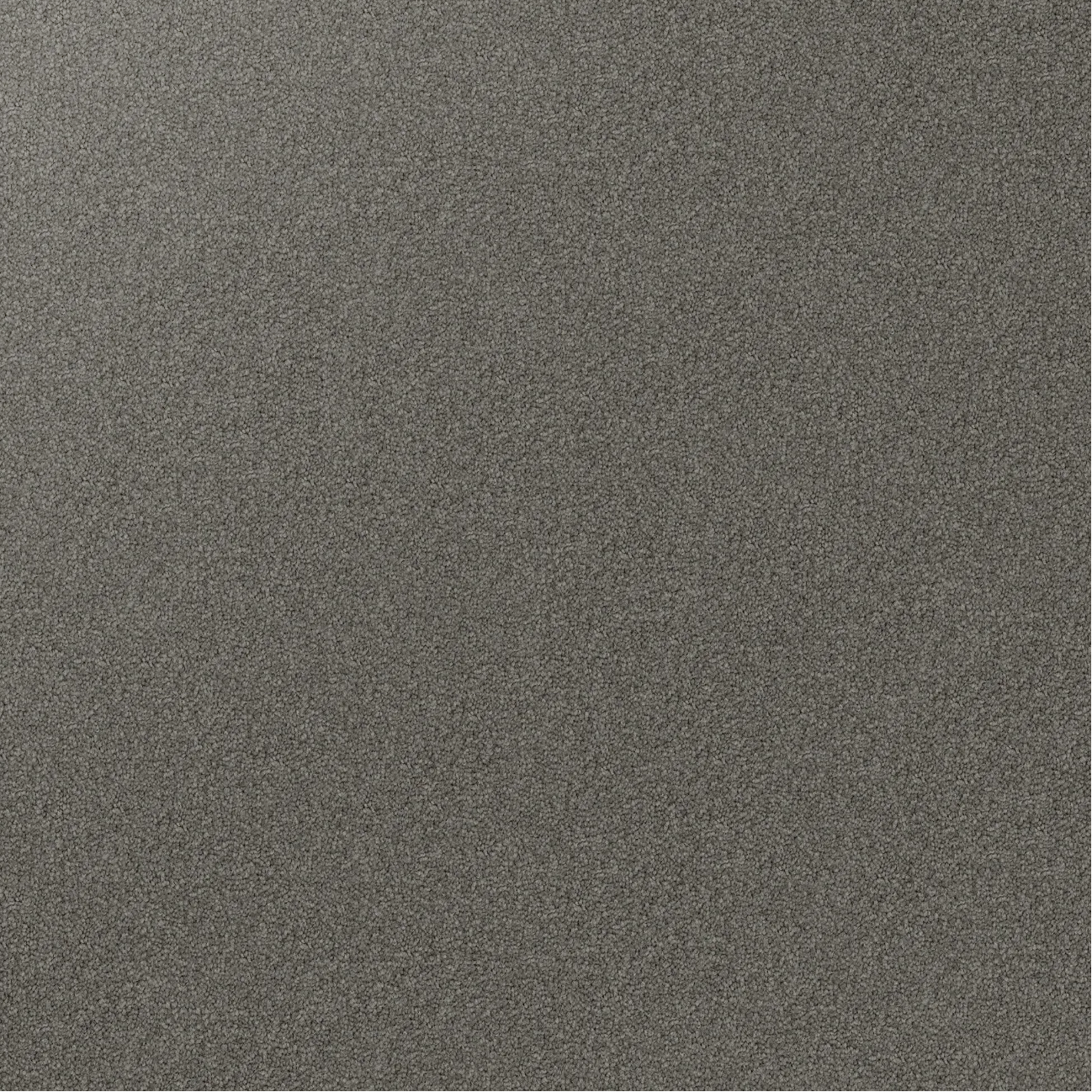 Domain Rise Carpet