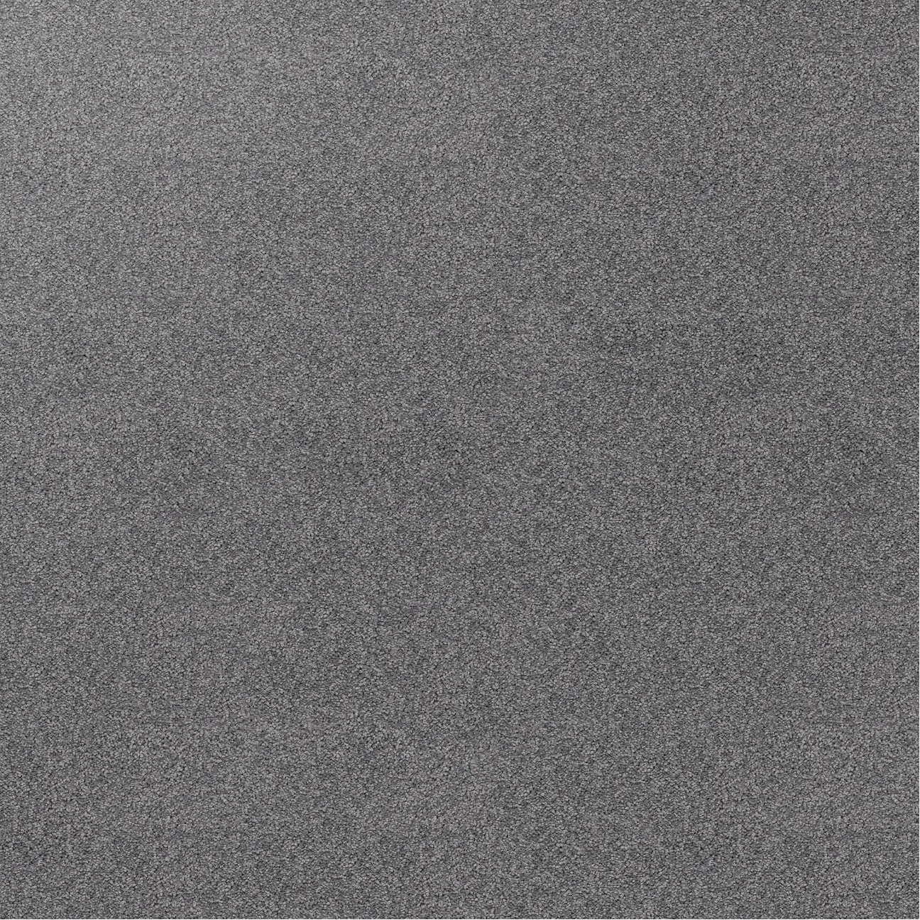 Sample of grey carpet, Winter Grey.